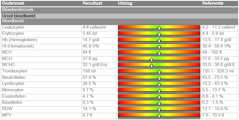 Groot bloedbeeld